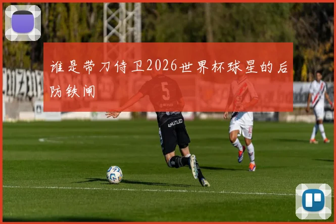 谁是带刀侍卫2026世界杯球星的后防铁闸