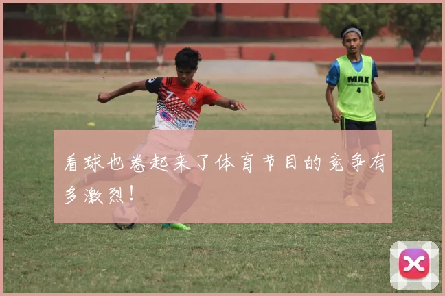 看球也卷起来了体育节目的竞争有多激烈!